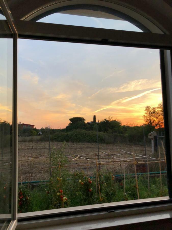 Agriturismo "Lo Zafferano" Aprilia Buitenkant foto