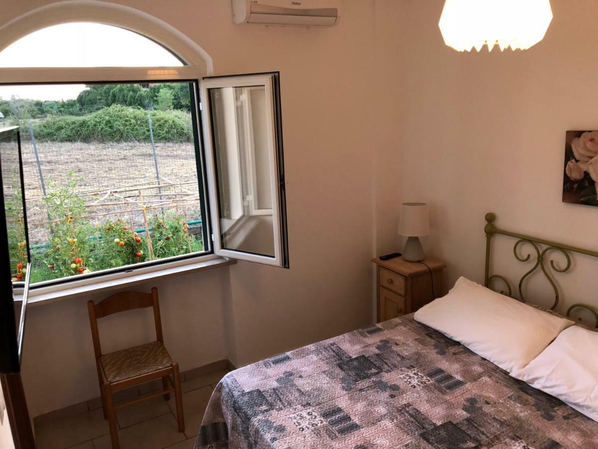 Agriturismo "Lo Zafferano" Aprilia Buitenkant foto